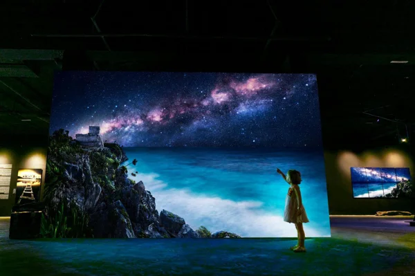 Nina Enfrente De Pintura